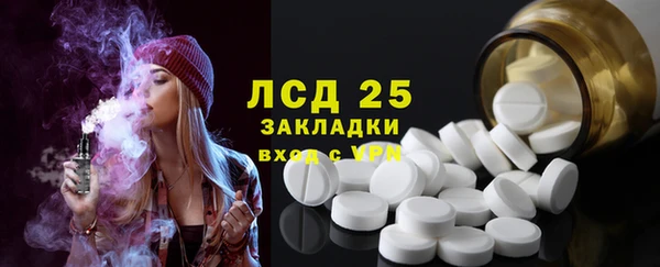 ГАЛЛЮЦИНОГЕННЫЕ ГРИБЫ Покров