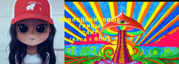 ГАЛЛЮЦИНОГЕННЫЕ ГРИБЫ Покров