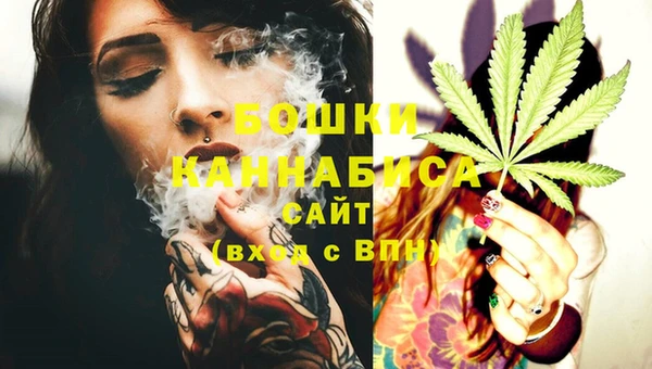 дмт Болхов