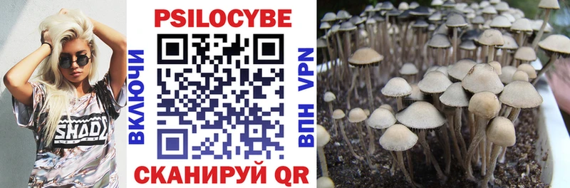 Галлюциногенные грибы GOLDEN TEACHER  как найти закладки  Славск 