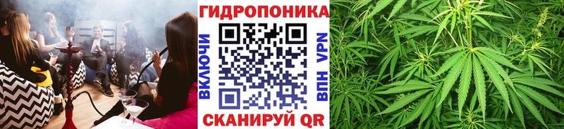 как найти закладки Славск МАРИХУАНА LSD WEED